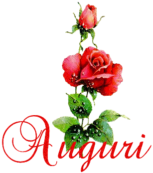 Róża Auguri
